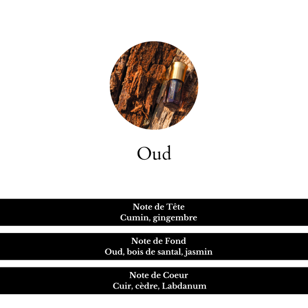 composition parfum oud